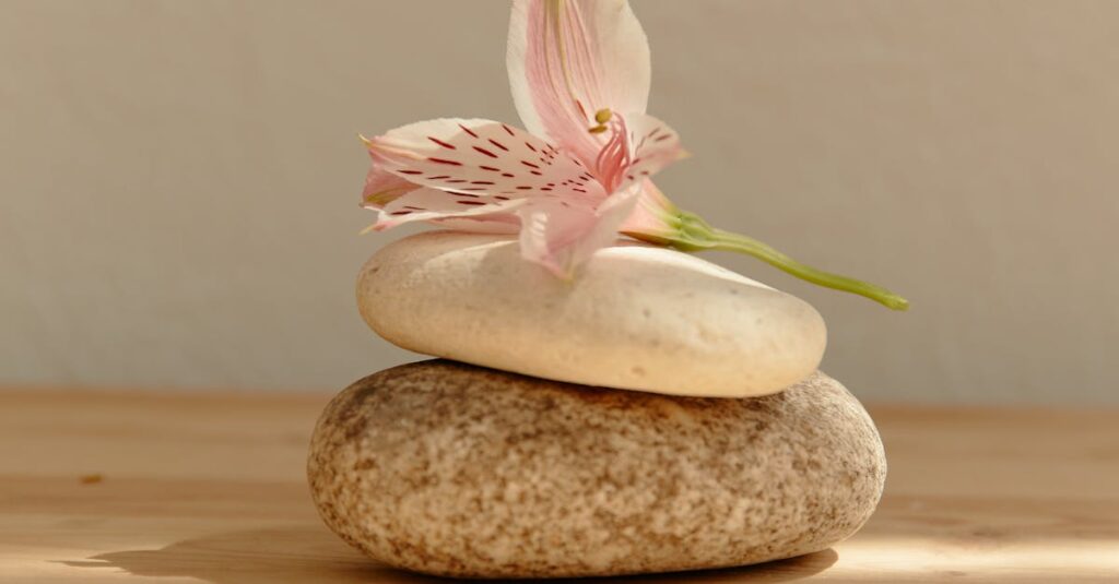 Pink flower elegantly resting on stacked stones with soft lighting. Perfect for tranquility themes.